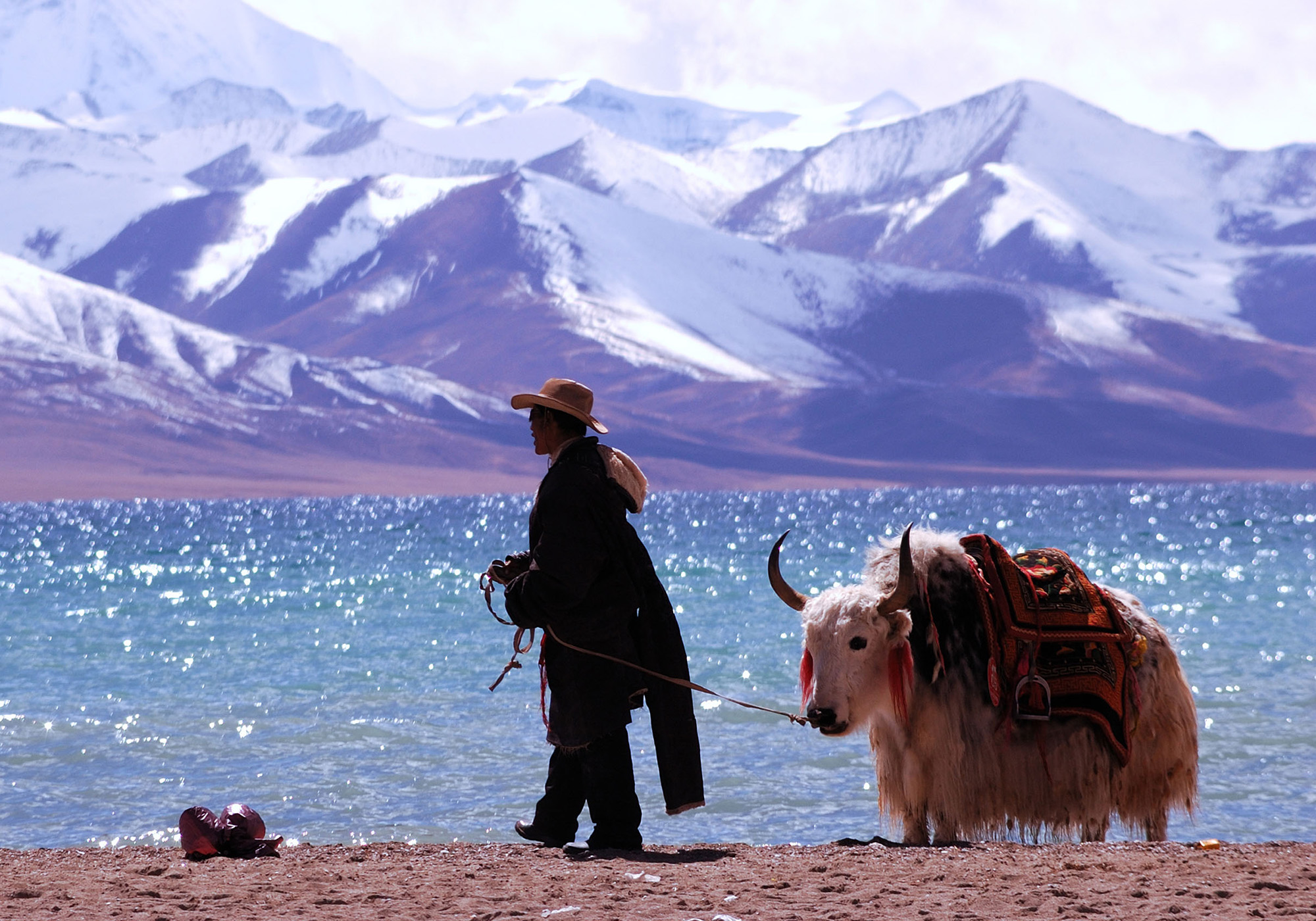 Tibetan nomad with yak