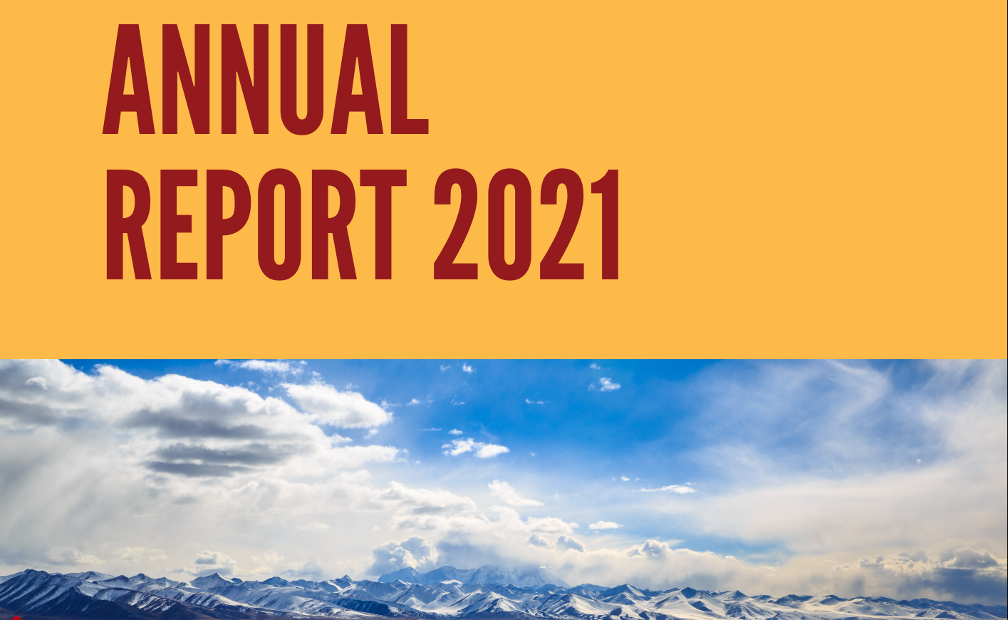 Annual Report 2021